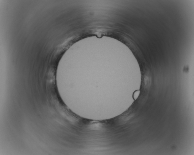 X0000113060620200910091145