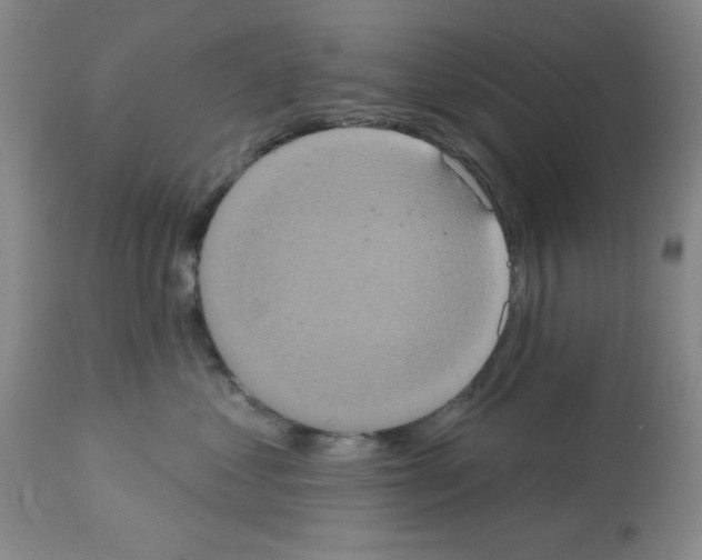 X0000113060621200910091145