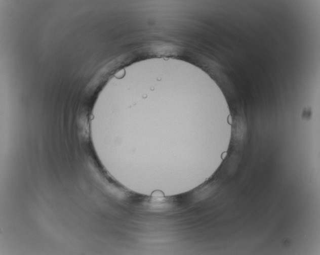 X0000113060622200910091145