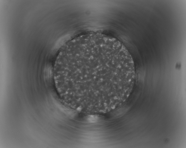 X0000113060623200910091145