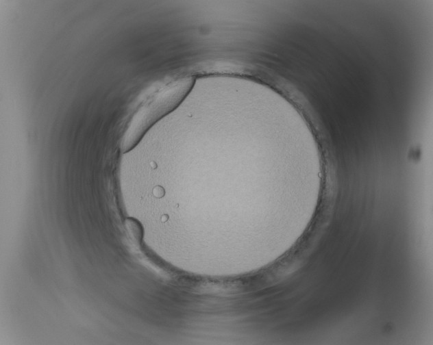 X0000113060625200910091144