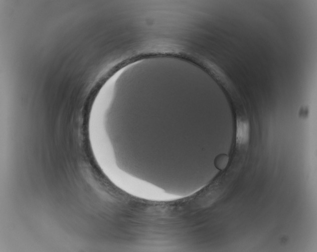 X0000113060627200910091144