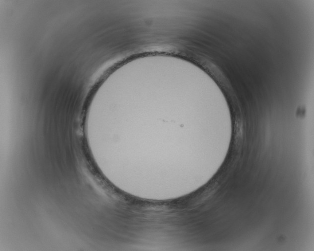 X0000113060628200910091144