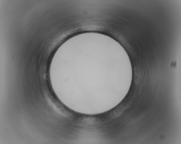 X0000113060631200910091144