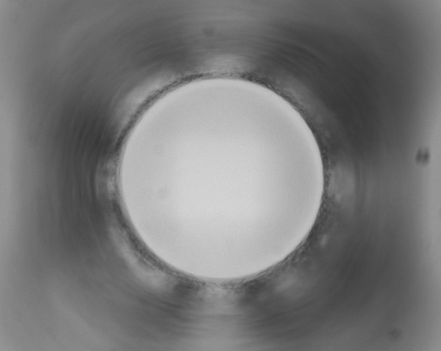 X0000113060632200910091144