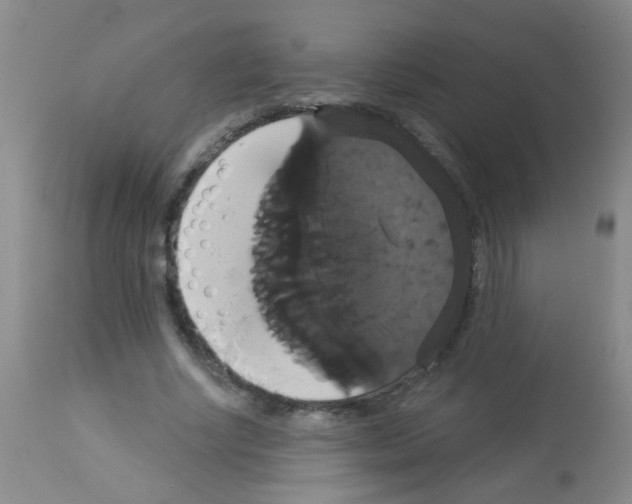 X0000113060634200910091144