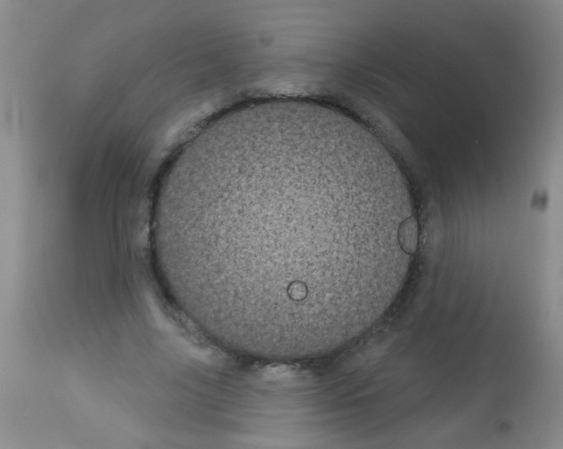 X0000113060635200910091144