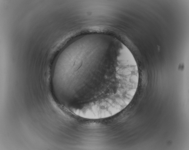 X0000113060637200910091144