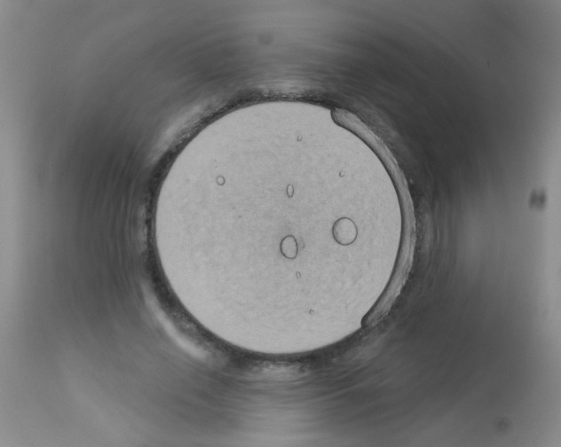 X0000113060638200910091144