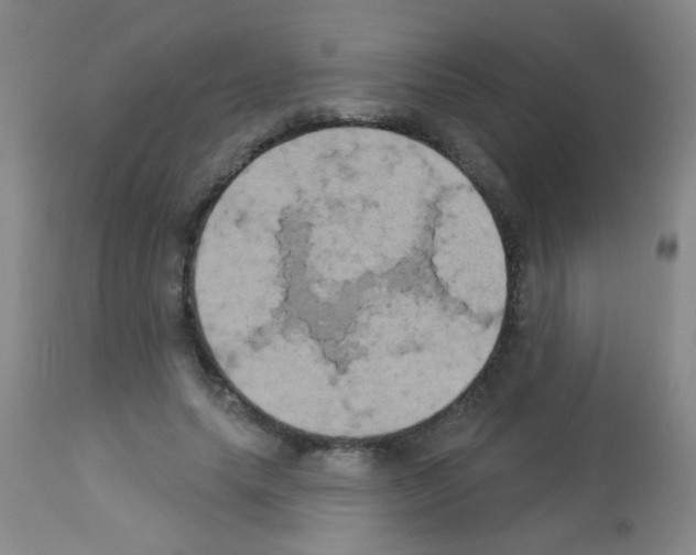 X0000113060639200910091144