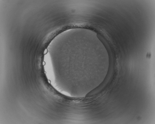 X0000113060640200910091144