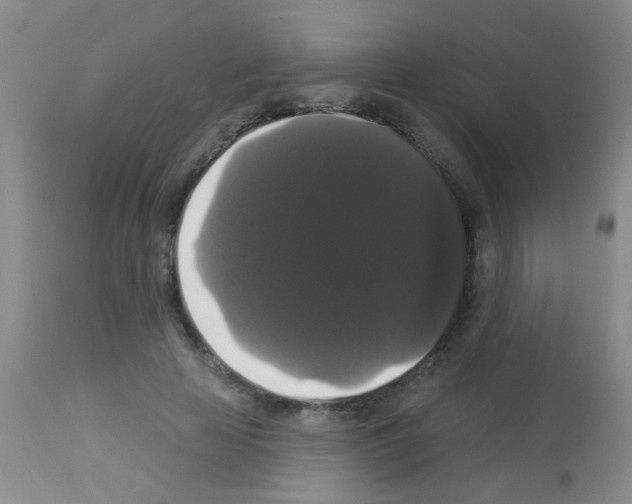 X0000113060641200910091144