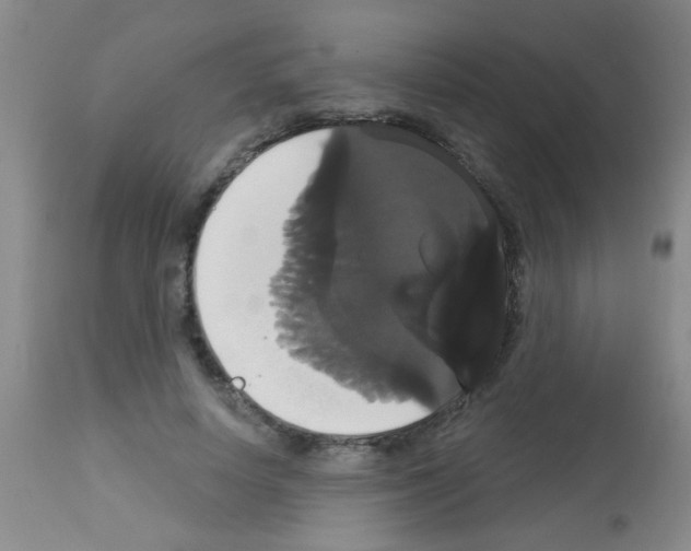 X0000113060642200910091144