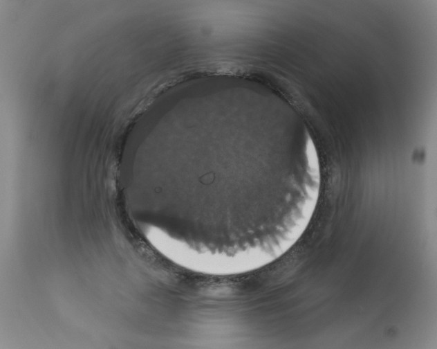 X0000113060643200910091145