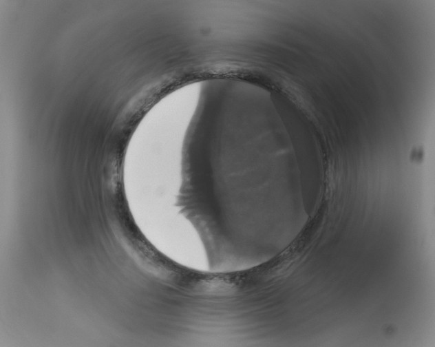 X0000113060644200910091145