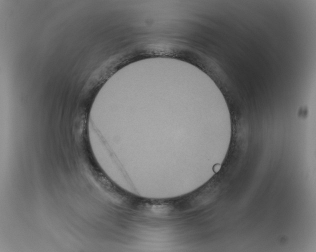 X0000113060645200910091145