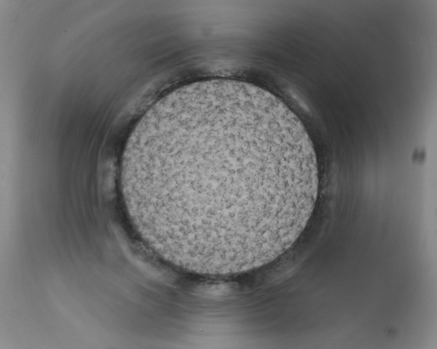 X0000113060646200910091145