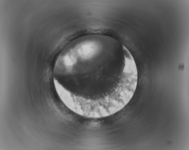 X0000113060647200910091145