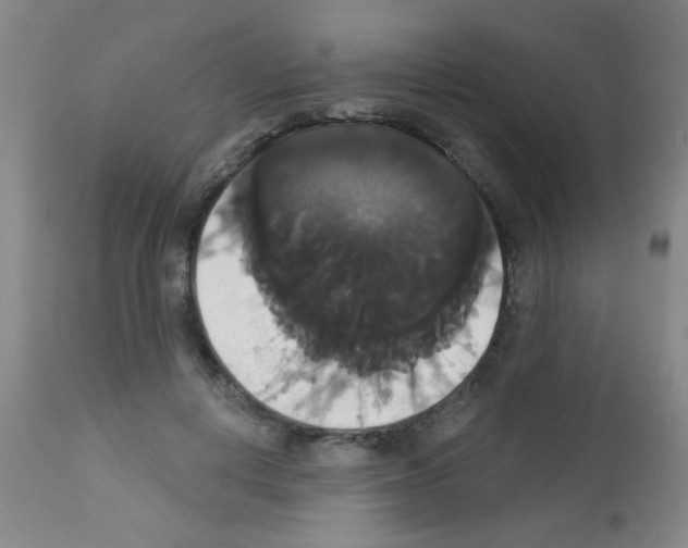 X0000113060648200910091145