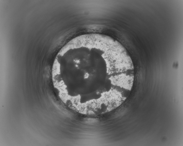 X0000113060649200910091145