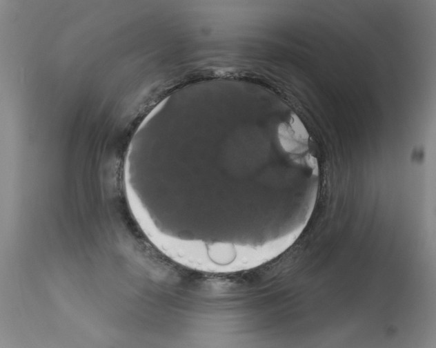 X0000113060650200910091145