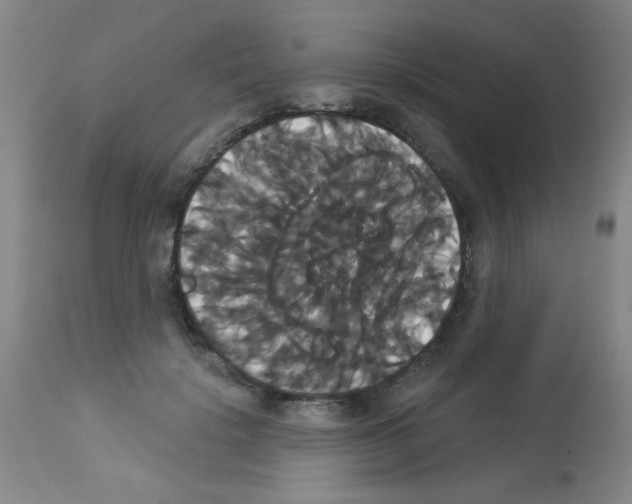 X0000113060652200910091145