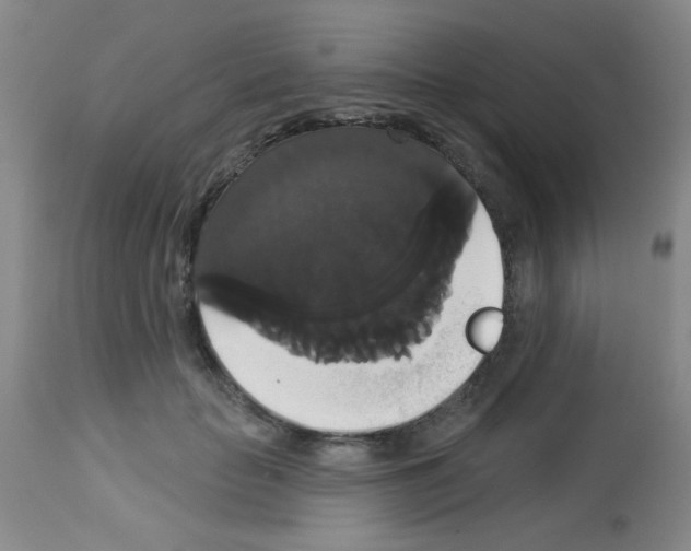 X0000113060653200910091145