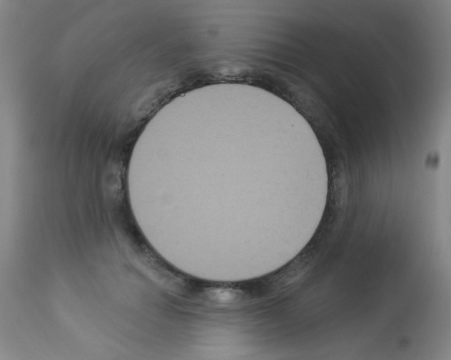 X0000113060654200910091145