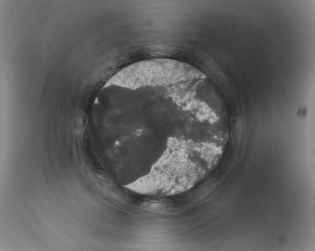 X0000113060655200910091145