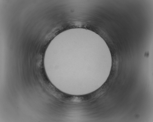 X0000113060656200910091145