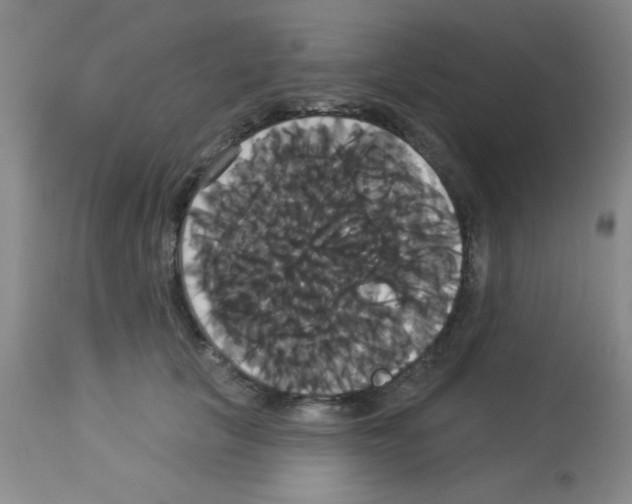 X0000113060657200910091145