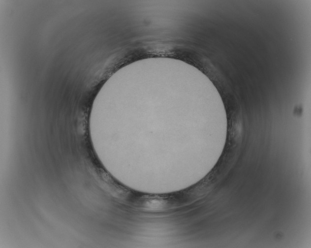 X0000113060658200910091145
