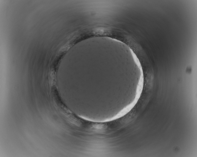 X0000113060659200910091145