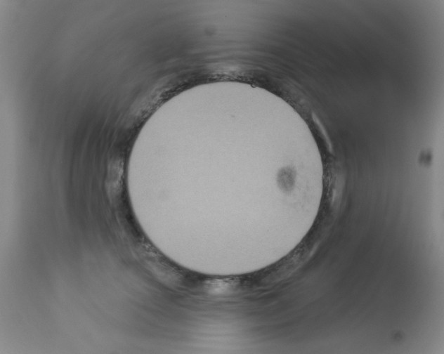 X0000113060660200910091145