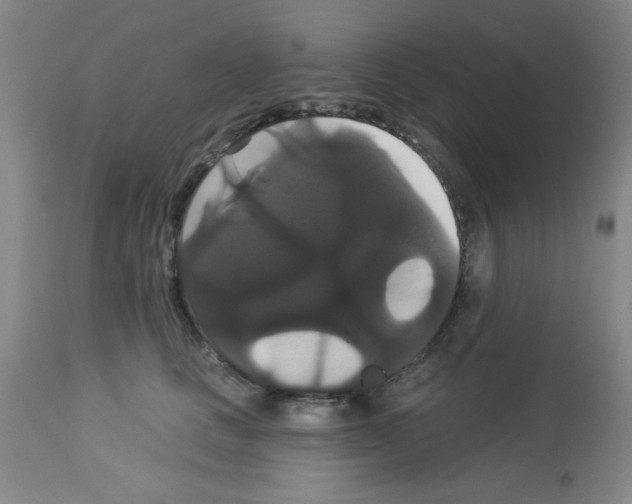 X0000113060661200910091145
