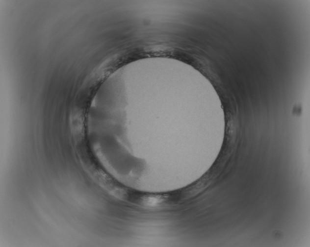 X0000113060662200910091145