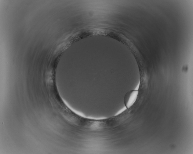 X0000113060663200910091145