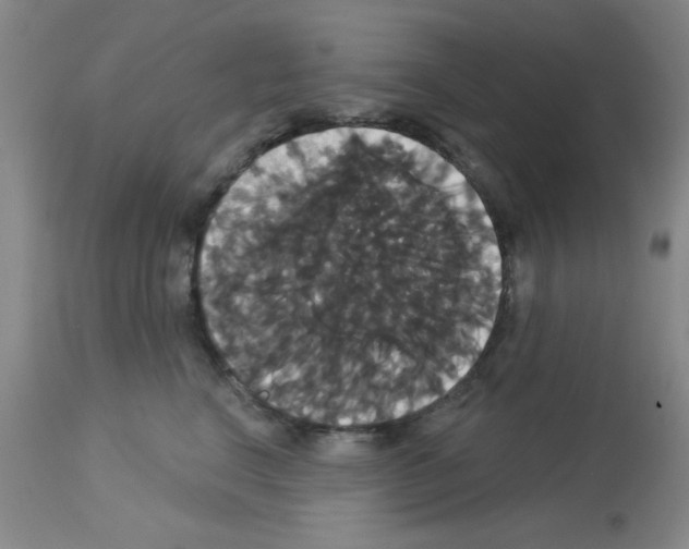 X0000113060664200910091145