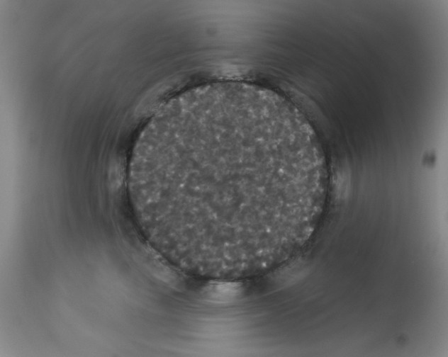 X0000113060665200910091145
