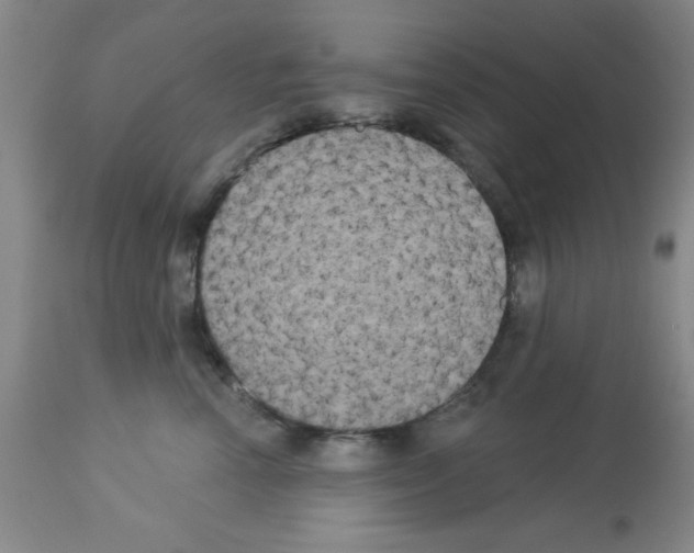 X0000113060666200910091145