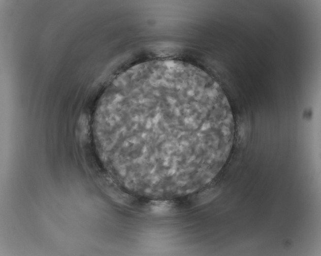 X0000113060667200910091145
