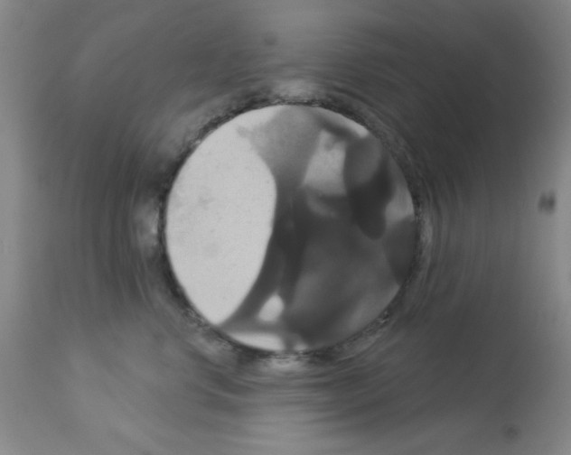 X0000113060668200910091145
