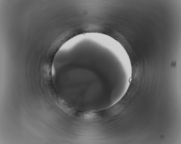 X0000113060669200910091145