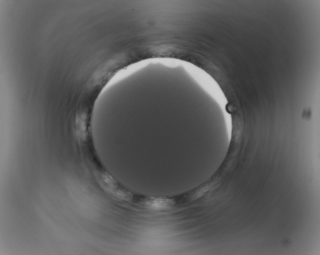 X0000113060670200910091145