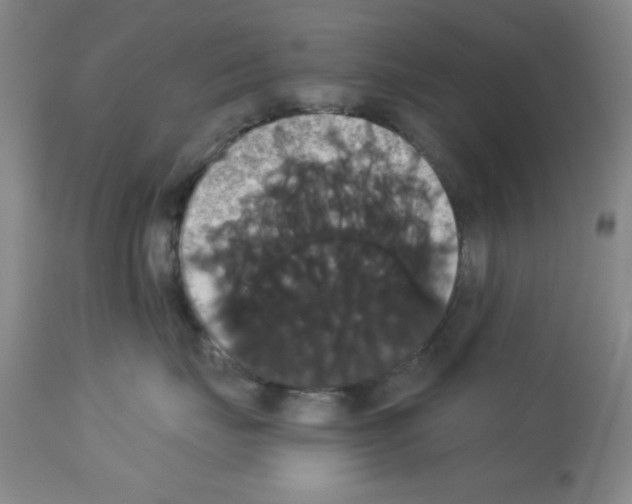 X0000113060671200910091145