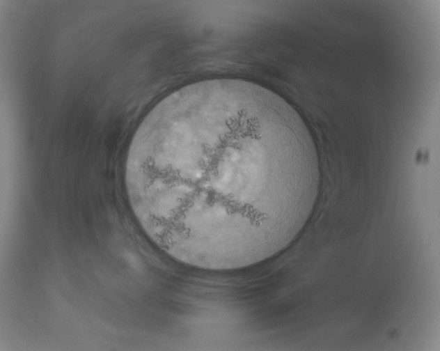 X0000113060672200910091145