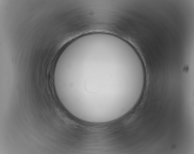 X0000113060673200910091144