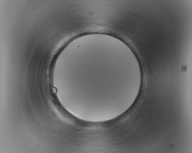 X0000113060674200910091144