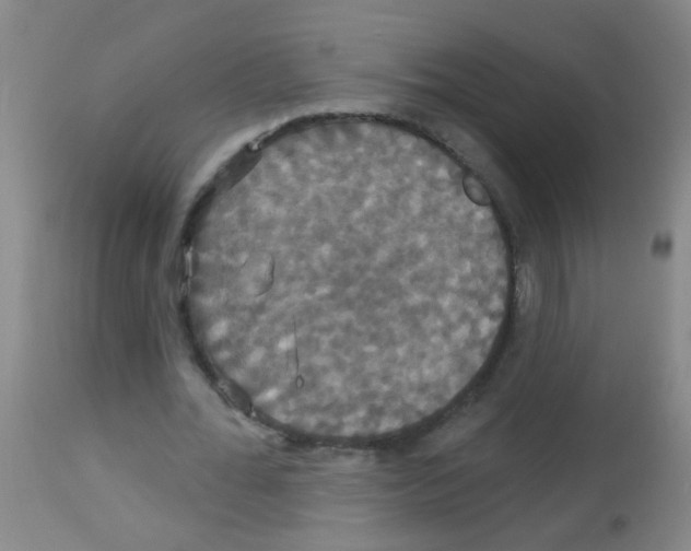X0000113060676200910091144