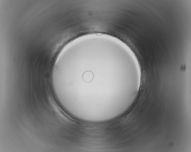 X0000113060677200910091144
